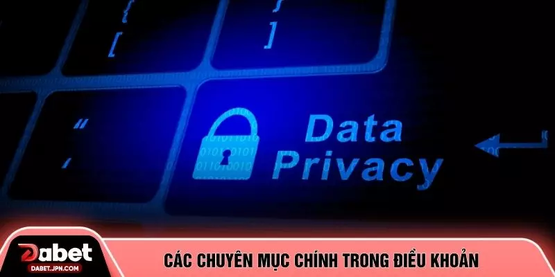 Các chuyên mục chính trong điều khoản