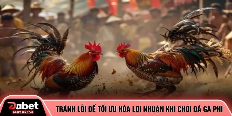 Tránh lỗi để tối ưu hóa lợi nhuận khi chơi đá gà phi